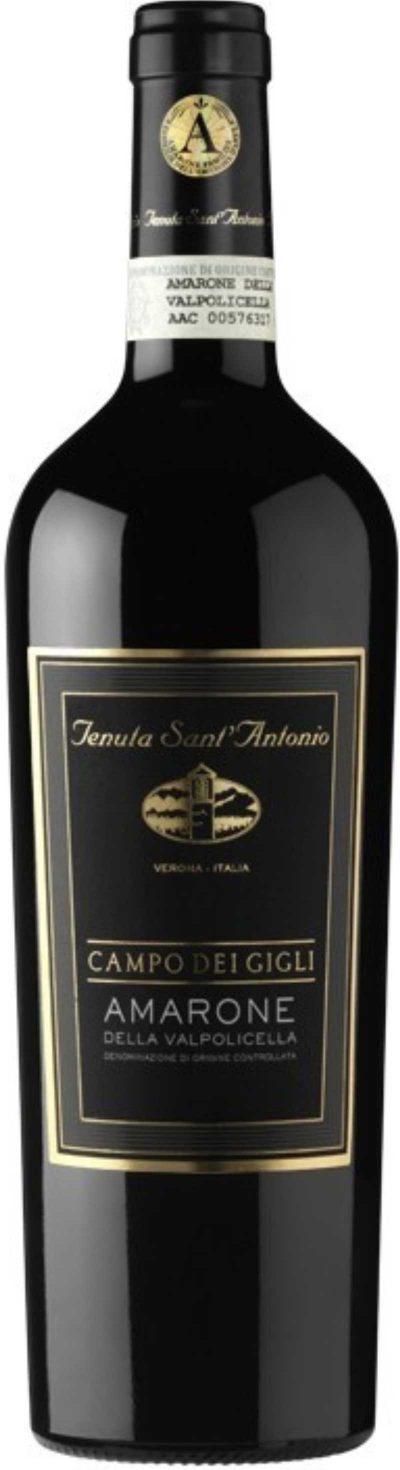 Amarone "Campo dei Gigli" 2016