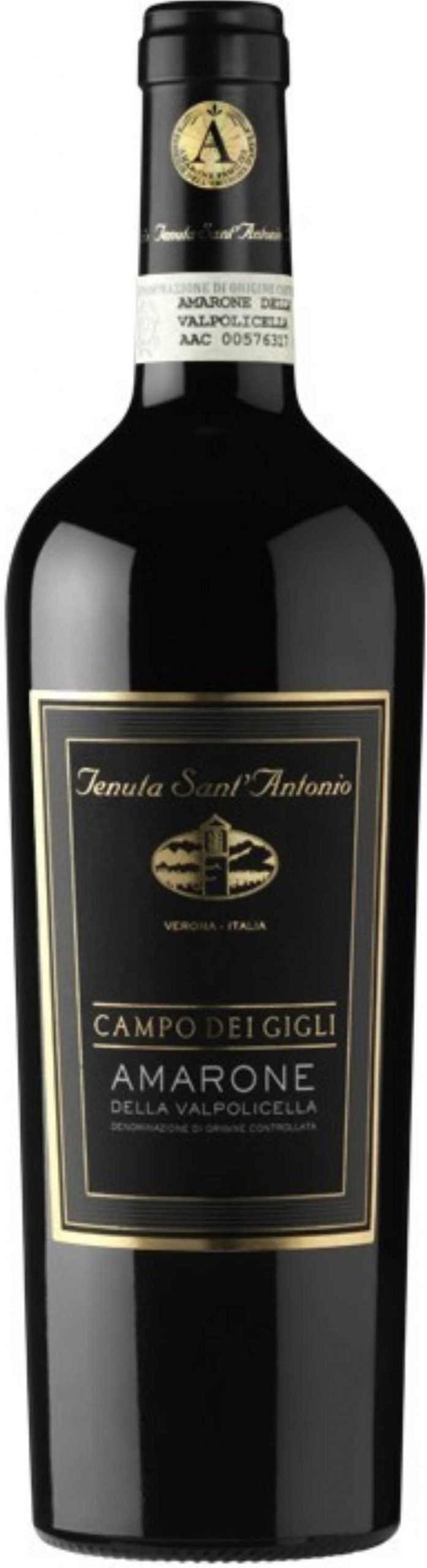 Amarone "Campo dei Gigli" 2016